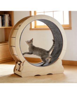 Zeus and Ruta Large Cat Exercise Wheel Treadmill for Indoor Cats