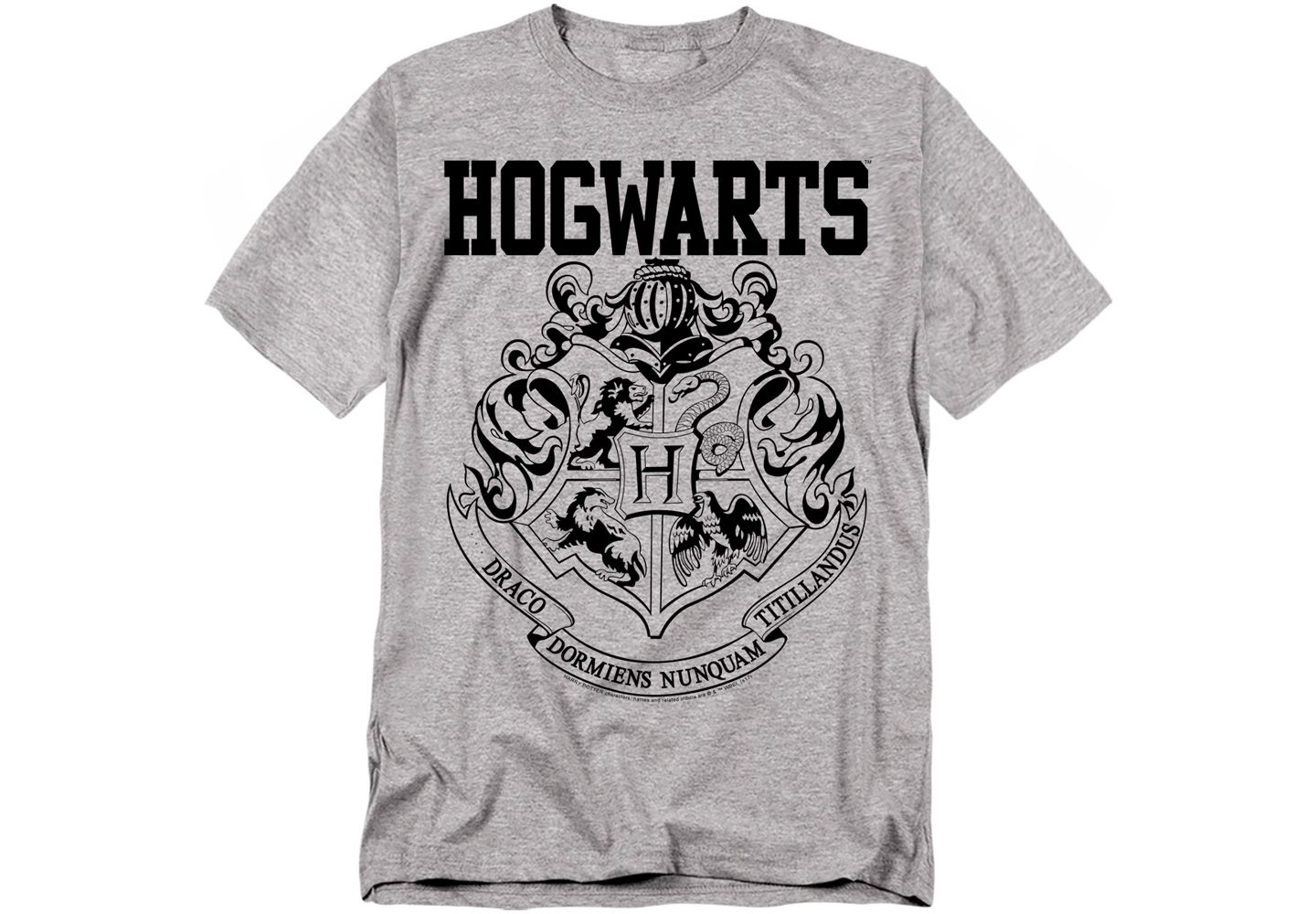 Мужская футболка Harry Potter Big & Tall Hogwarts Athletic, цвет: Золотой — фото 1