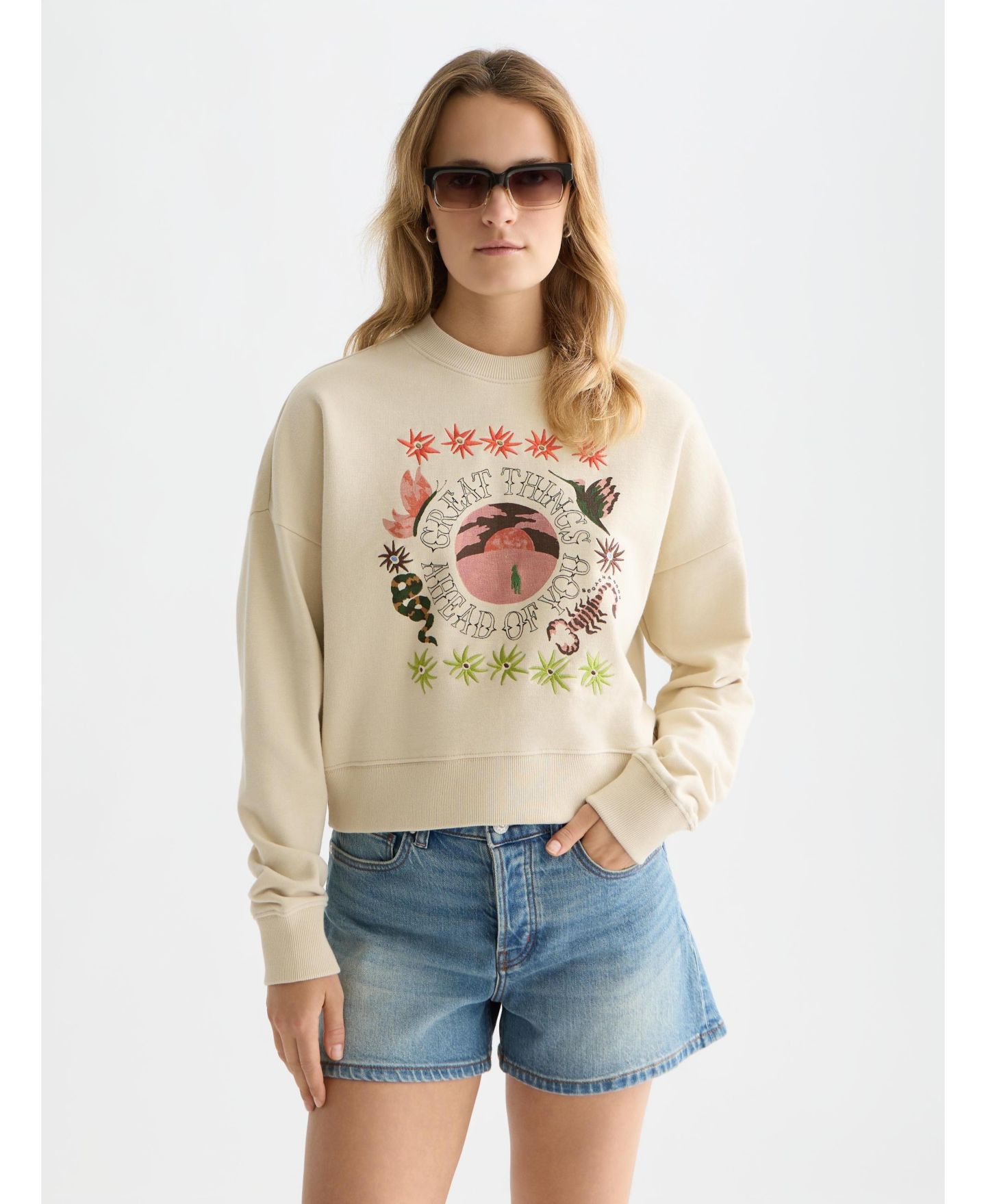Женский свитшот SCOTCH & SODA Sweatshirts Artwork Relaxed-Fit Sweatshirt, Fog, X-Small, цвет: Туманный — фото 4