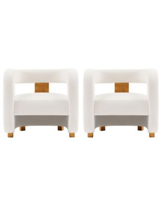 Amirah 2-Piece Velvet Upholstered Lounge Accent Chairs