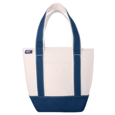 Small Insulated Tote Bag with Zip Closure, Travel Cooler Bag for the Pool, Park, and Day Trips