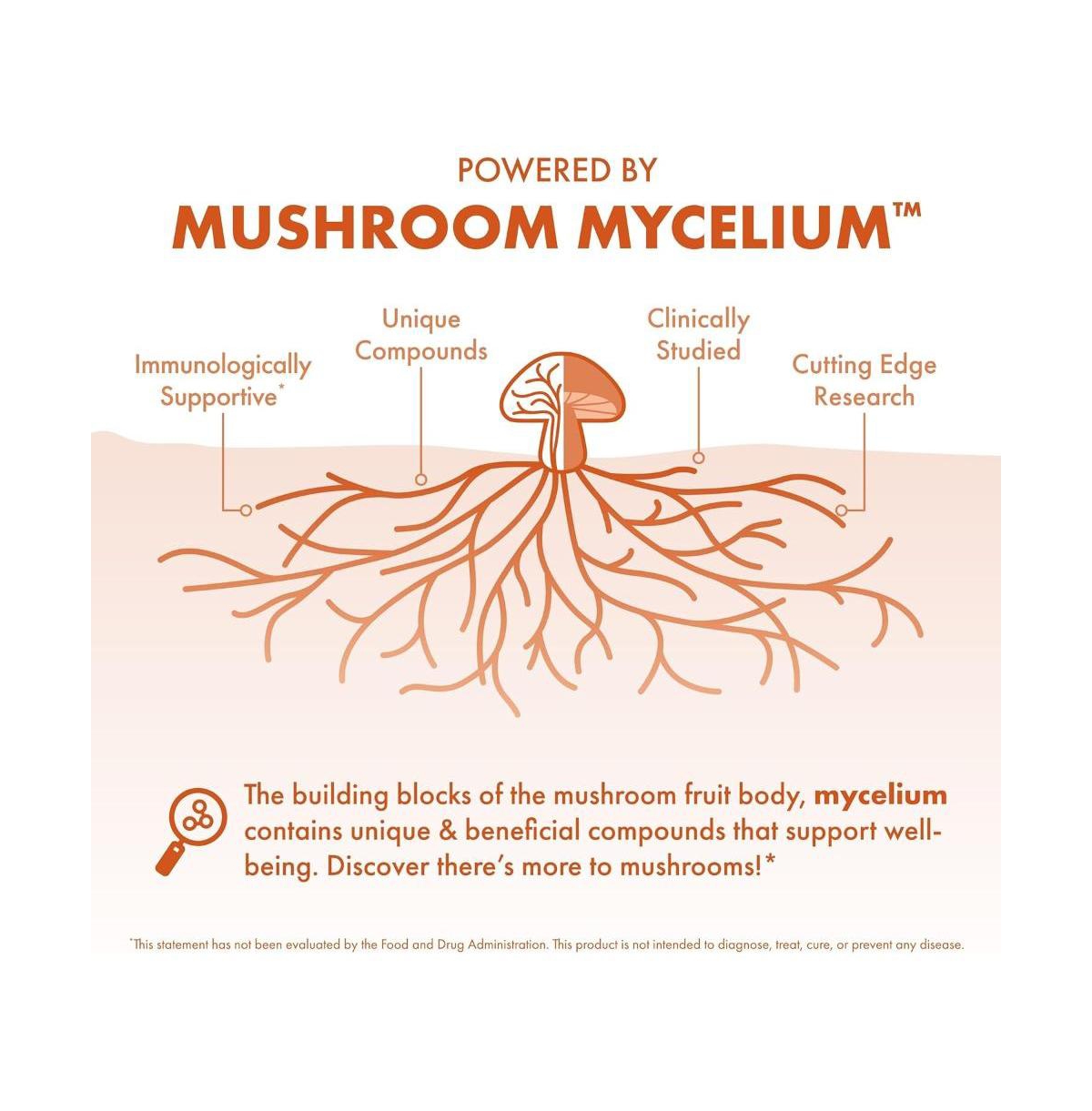 Host Defense Cordyceps Capsules - Immune & Energy Support Supplement