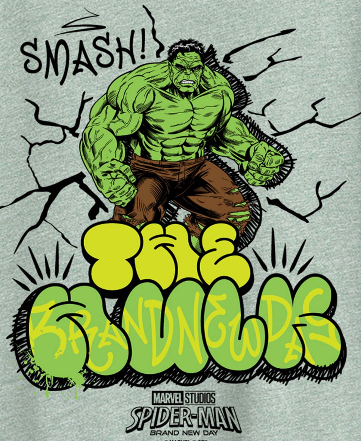 Hybrid Apparel Plus Spider-Man Brand New Day The Hulk Graphic T-Shirt