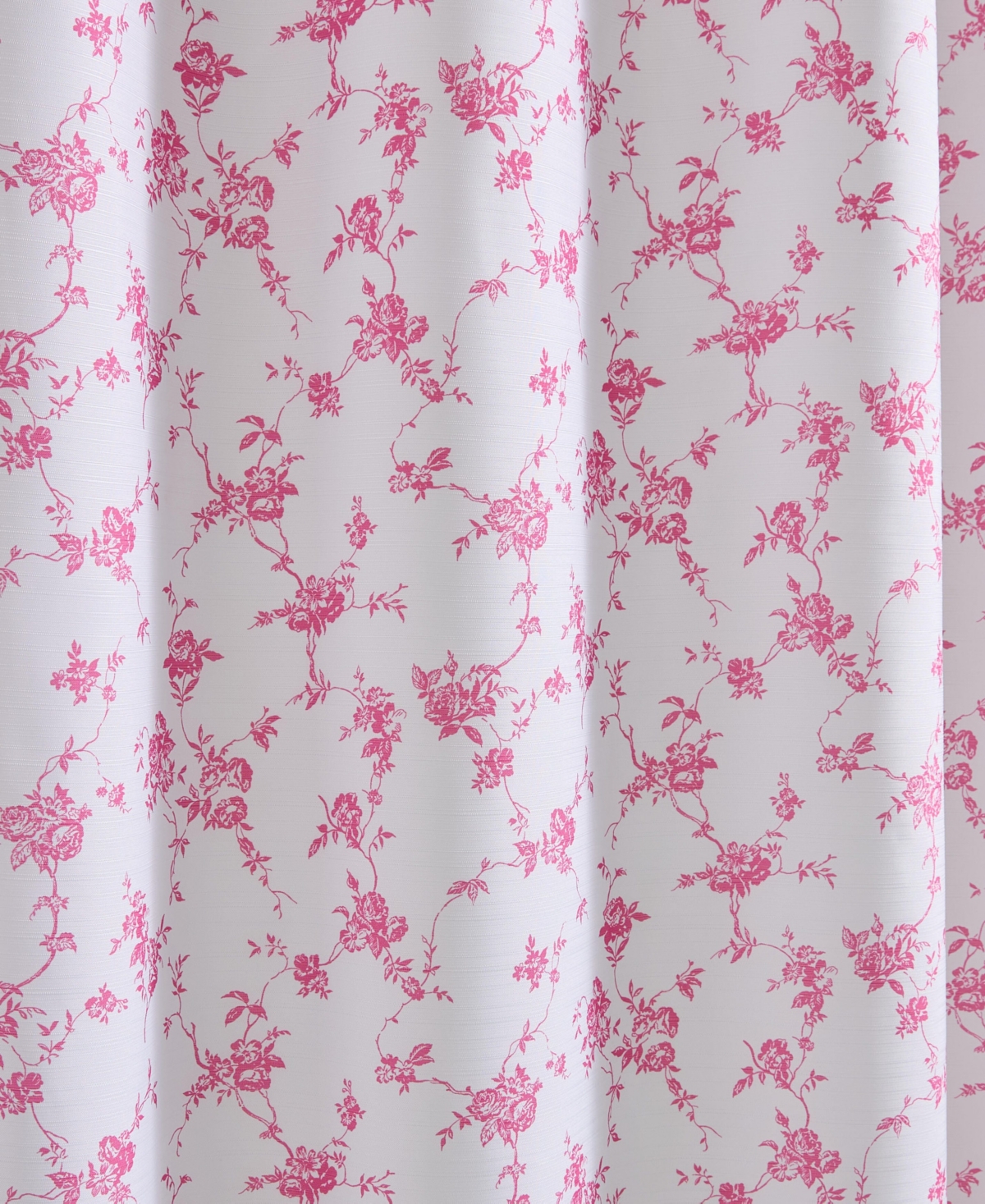 Betsey Johnson Floral Toile Printed Shower Curtain, 72" x 72"