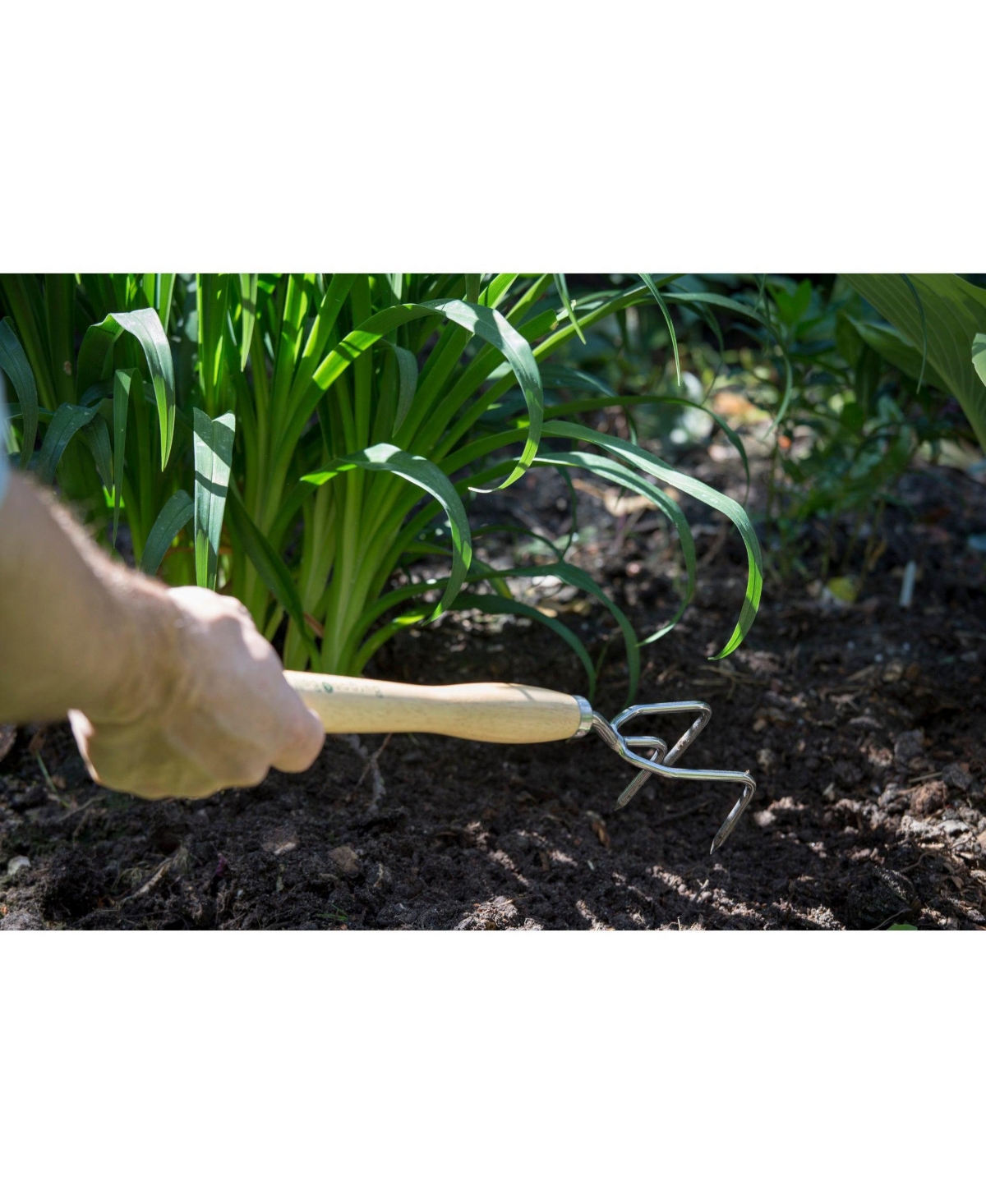 Burgon & Ball Mid-Handled Stainless Steel Claw Cultivator