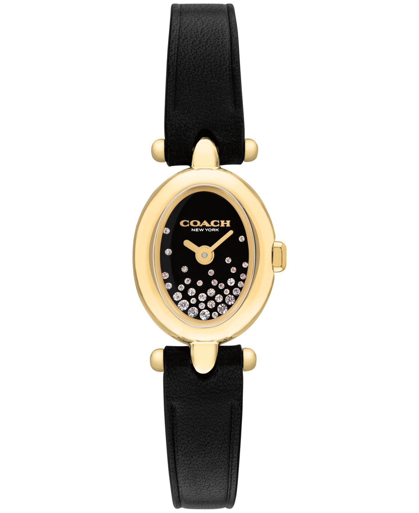Женские часы Coach Sammy Black Leather Strap Watch 18mm — фото 1