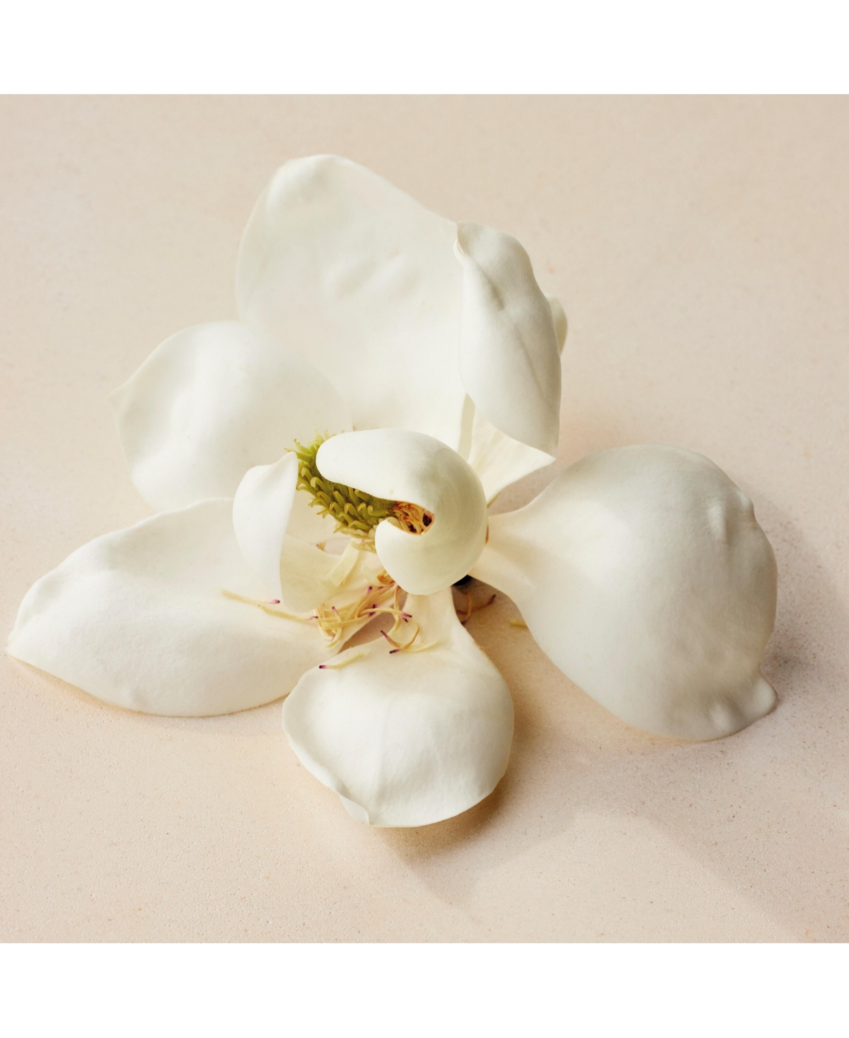 Chloe Atelier des Fleurs Magnolia Alba Eau de Parfum Spray, 1.6 oz.