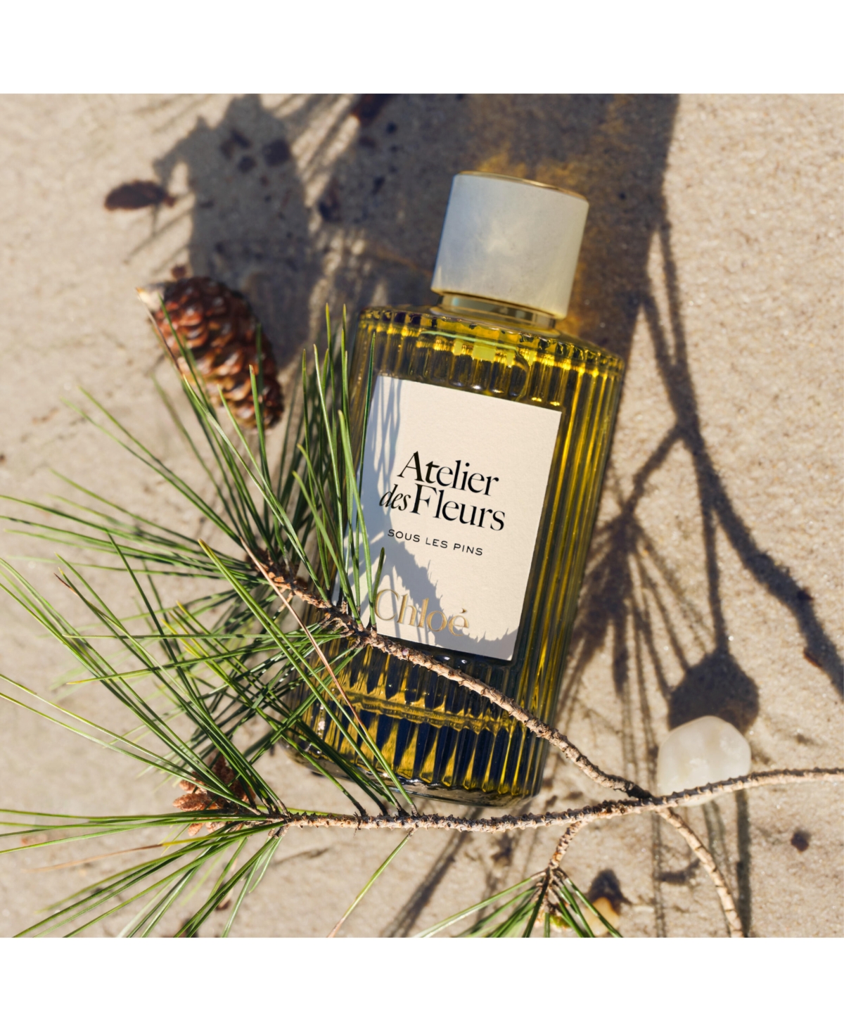 Chloe Atelier des Fleurs Sous Les Pins Eau de Parfum Spray, 5 oz.