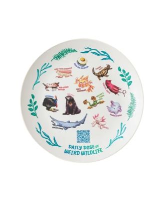Weird Animal Facts 1-Pc. Kids Plate
