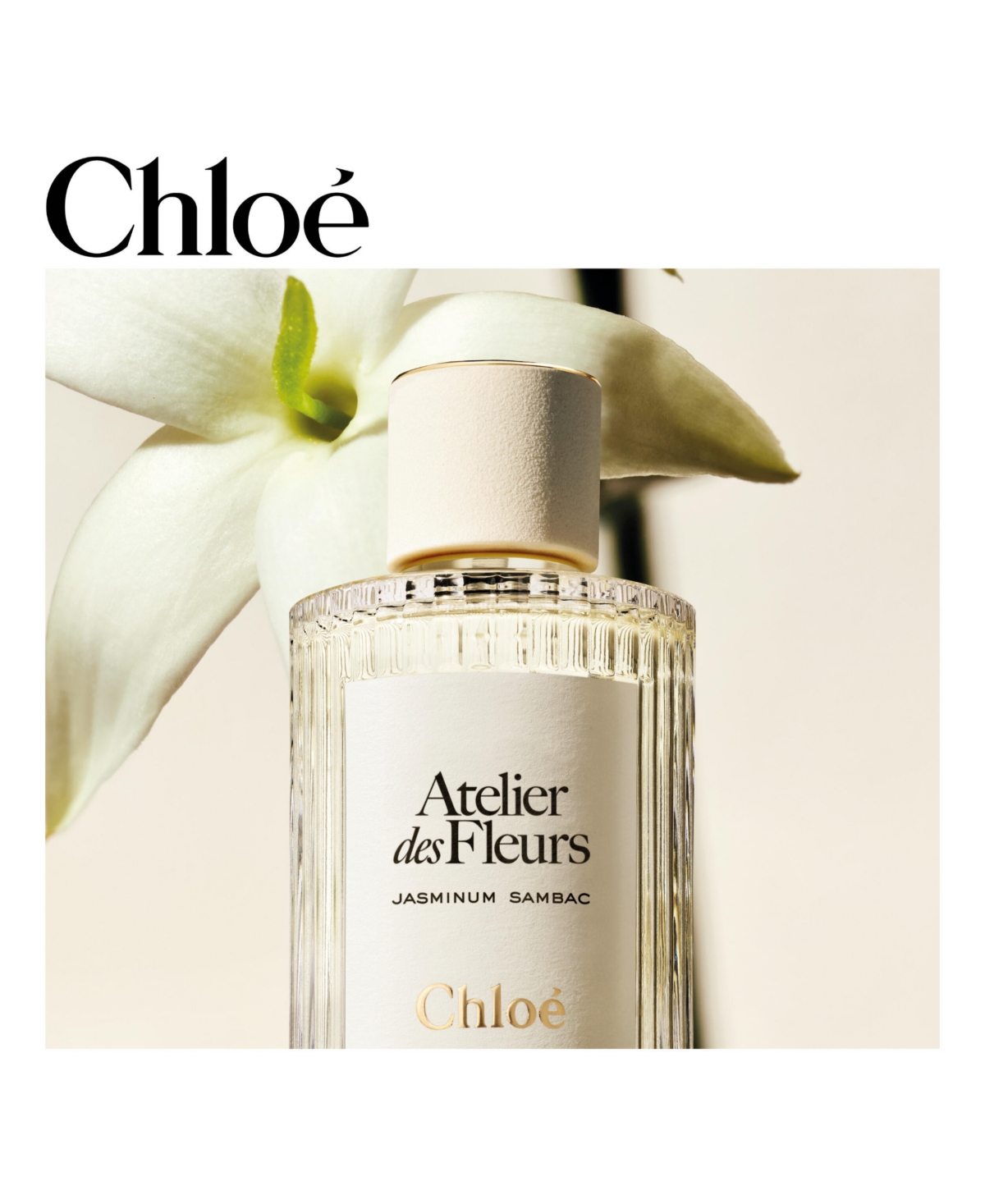 Chloe Atelier des Fleurs Jasminum Sambac Eau de Parfum Spray