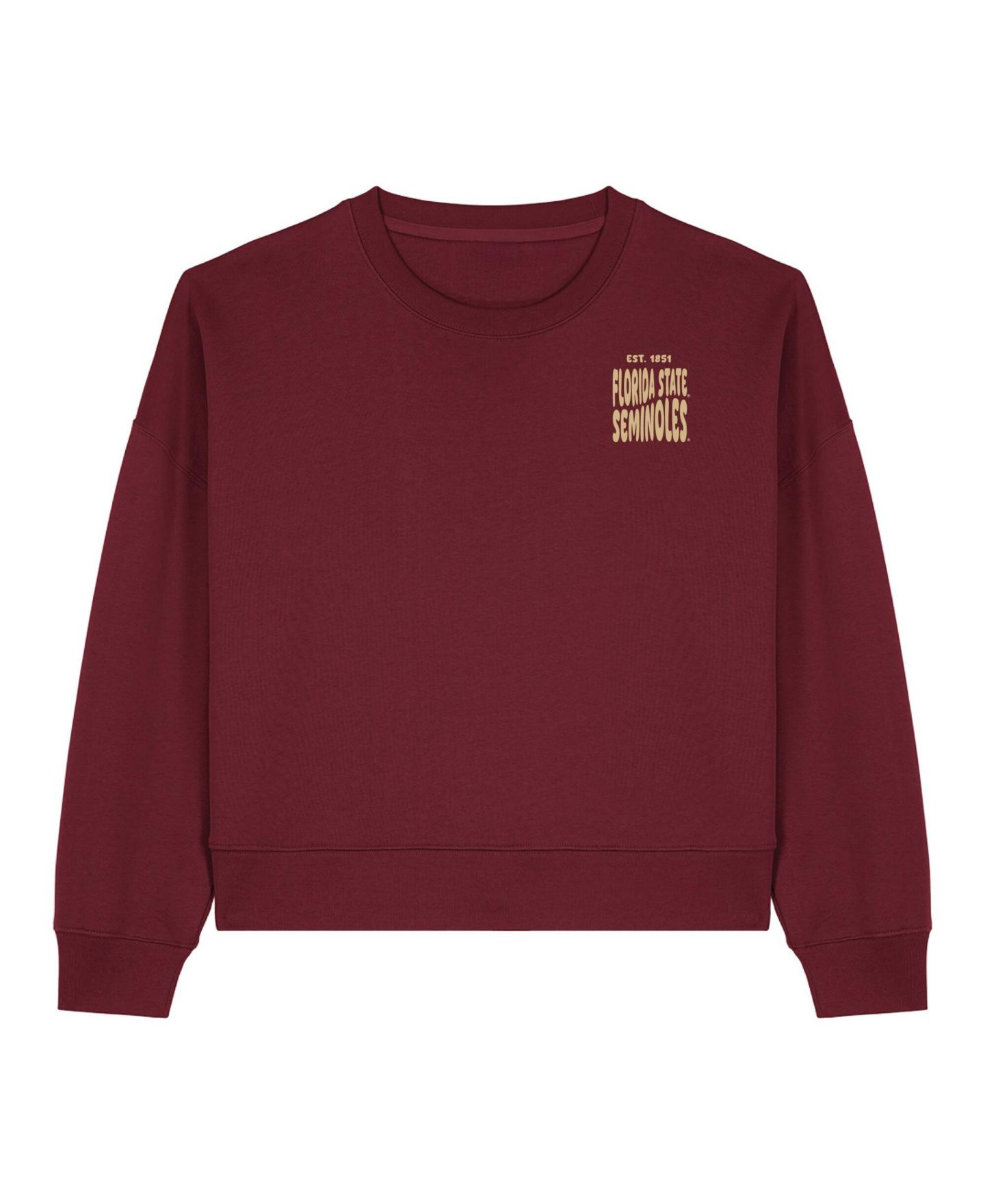 Женская толстовка Uscape Apparel Garnet Florida State Seminoles Cloud — фото 2