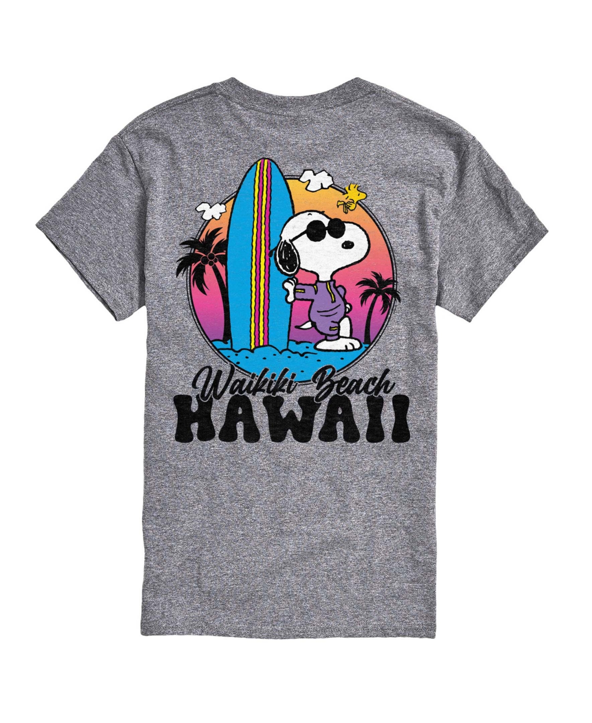 Airwaves Men's Peanuts Snoopy Surf Graphic T-Shirt