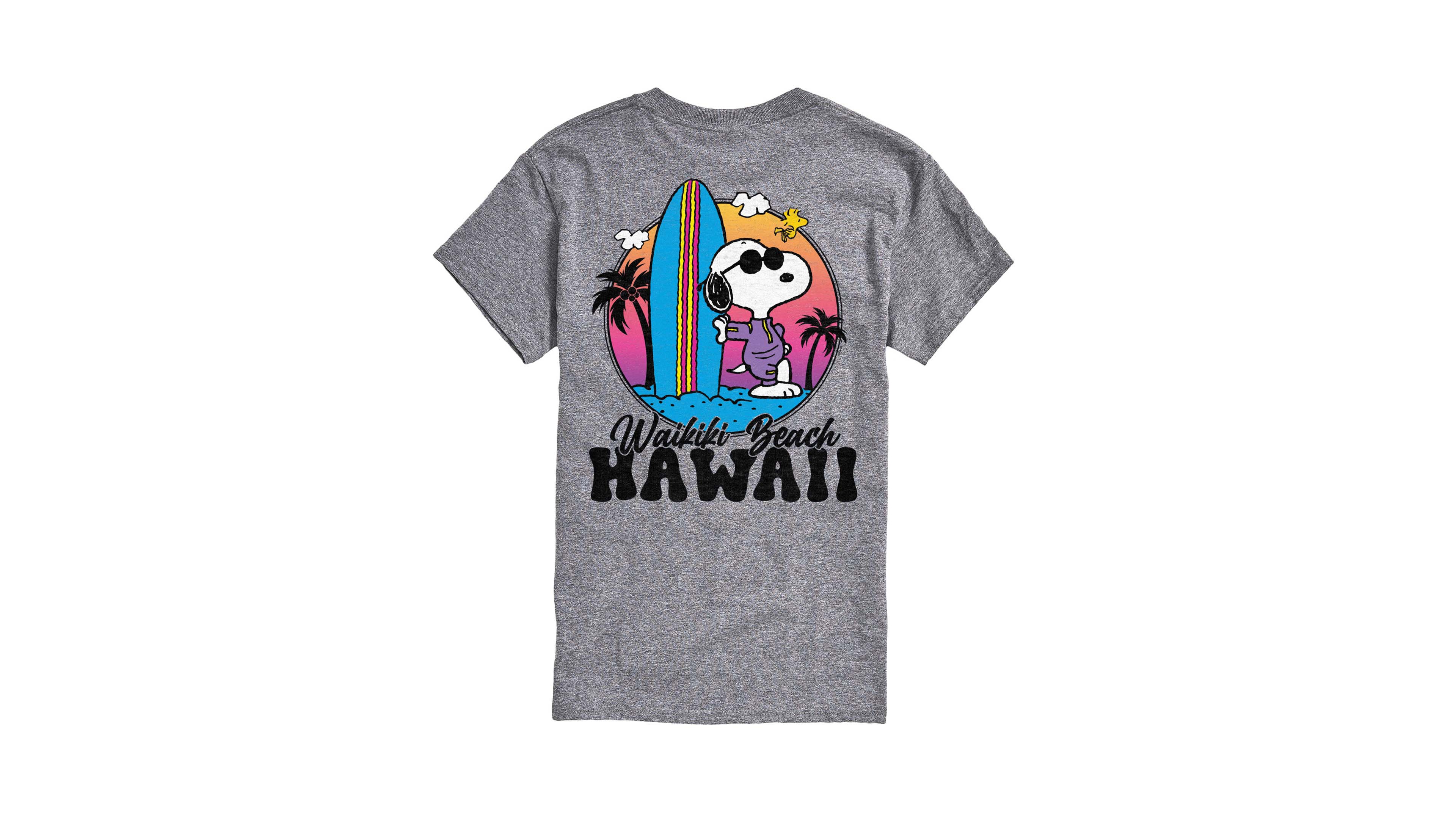 Airwaves Men's Peanuts Snoopy Surf Graphic T-Shirt