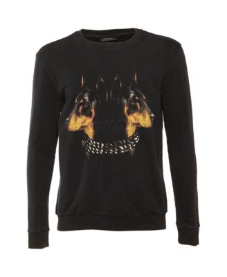 Men's Rotweiler Printed Cotton Knit Sweatshirt