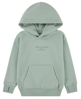 Toddler Boys' 2T-5T Essential Logo Hoodie 