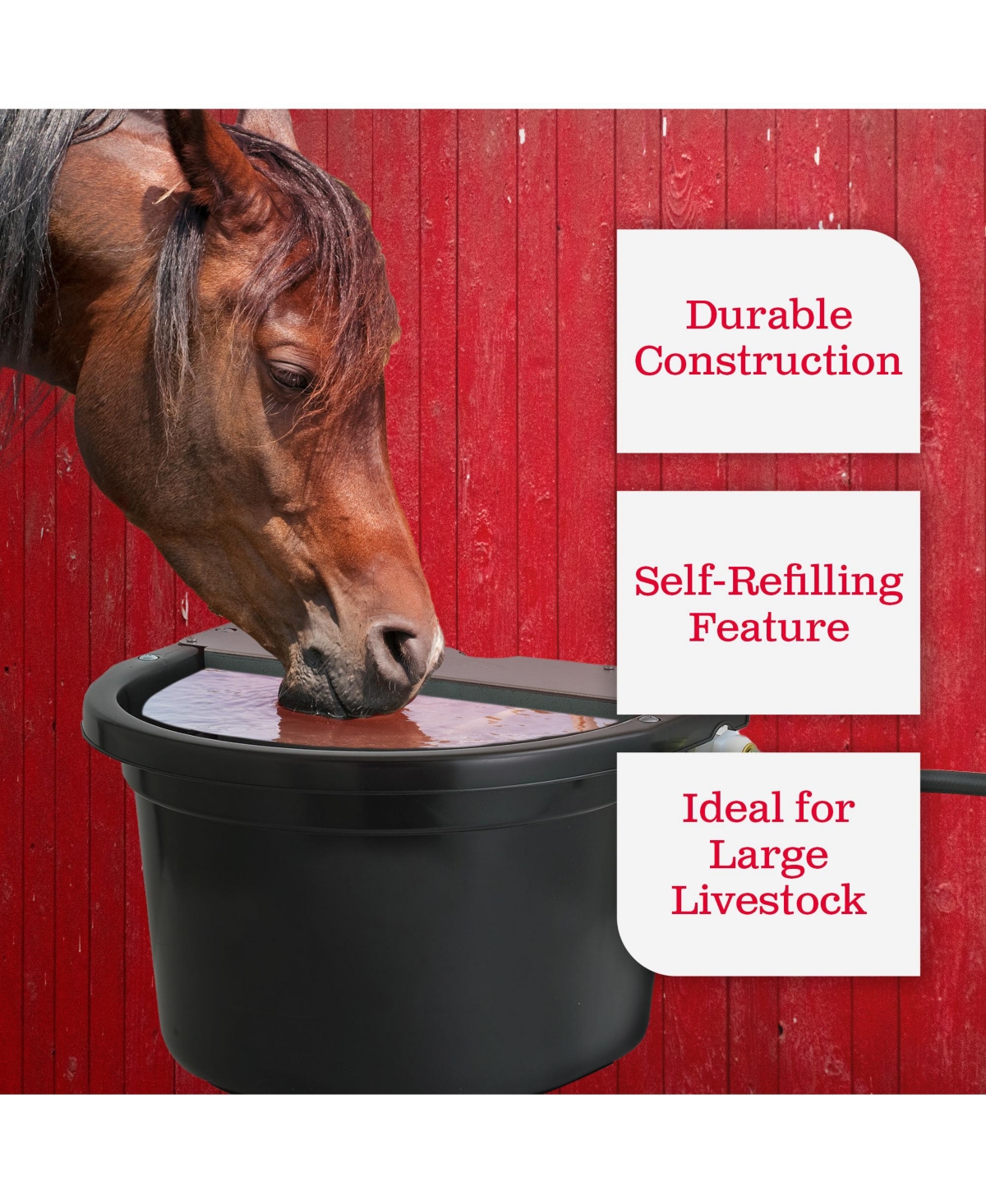 Little Giant FW16MTL 4 Gallon Float Controlled Waterer Livestock Water Trough