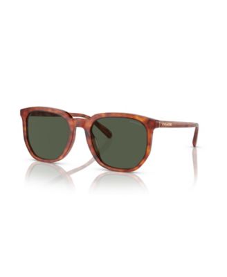 Men's Sunglasses, CL911 HC8384U