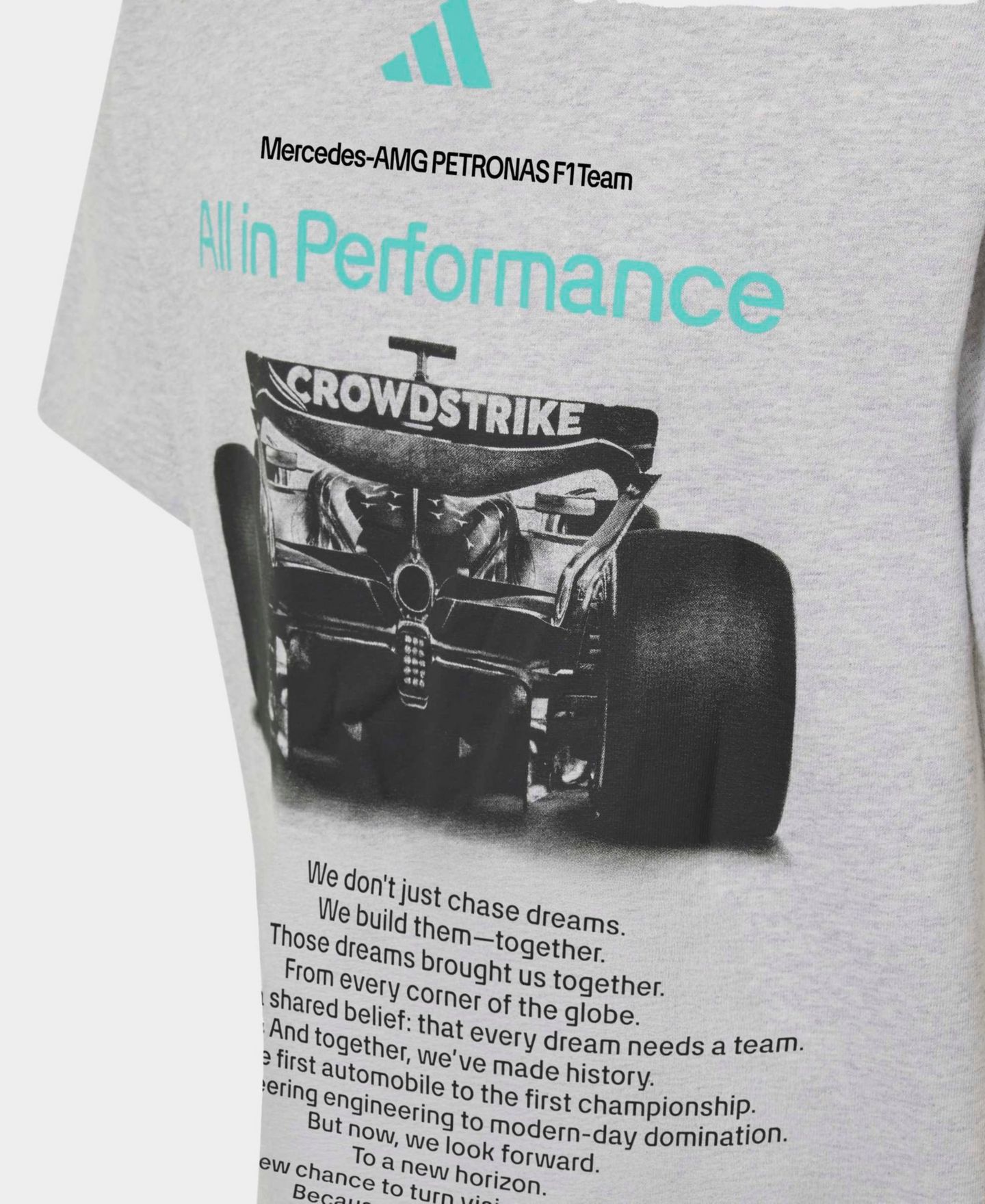 Детская футболка adidas Gray Mercedes-AMG Petronas F1 Team Graphic — фото 5
