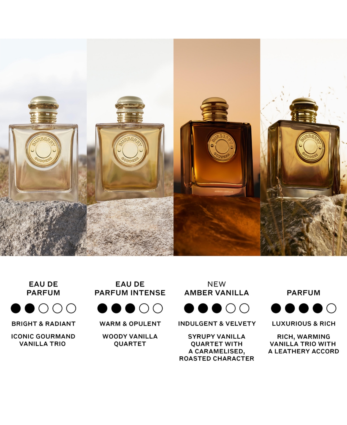 Burberry Goddess Amber Vanilla Eau de Parfum Intense Spray, 1.6 oz.