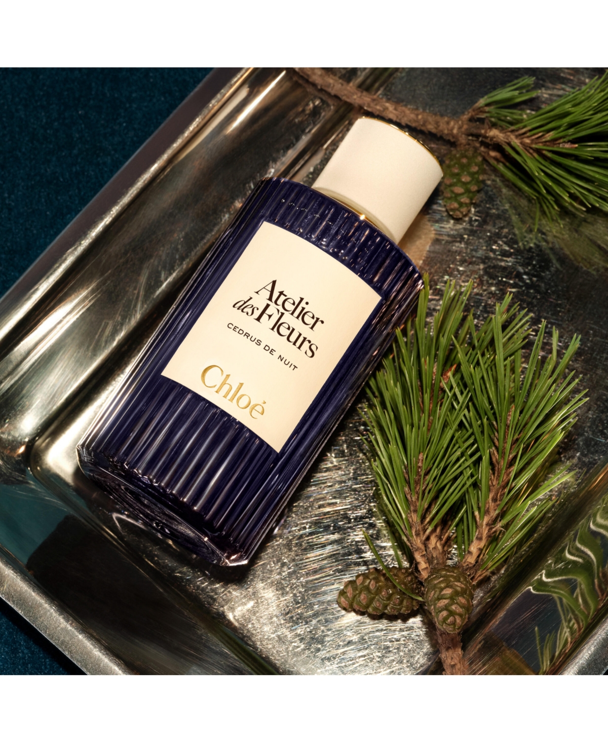 Chloe Atelier des Fleurs Cedrus de Nuit Eau de Parfum Spray, 5 oz.
