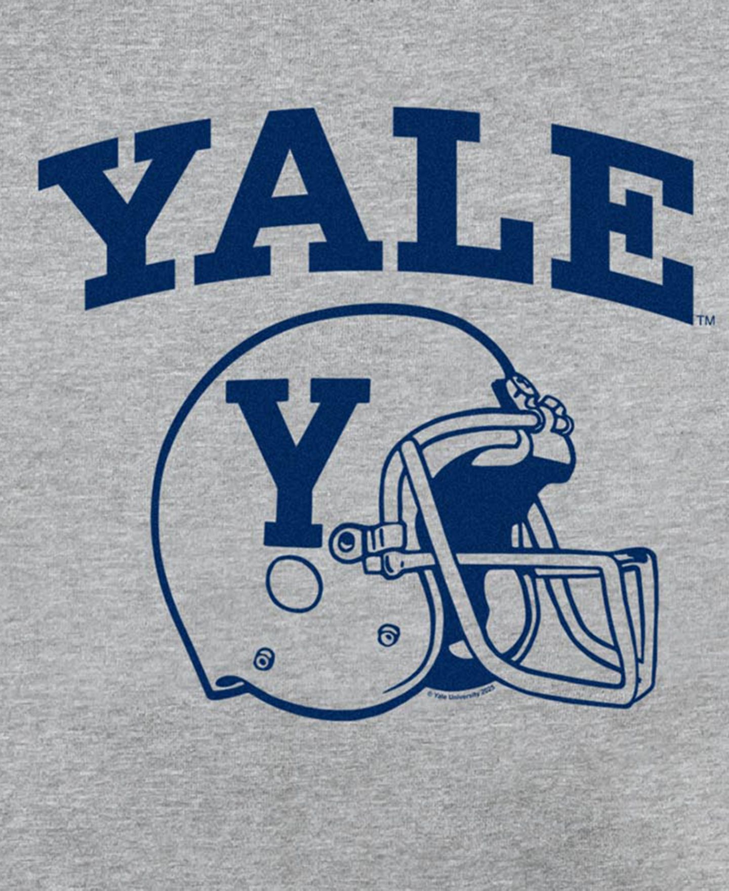 Мужская толстовка Fifth Sun Yale Football Helmet Graphic Crewneck, цвет: Меланжевый — фото 3