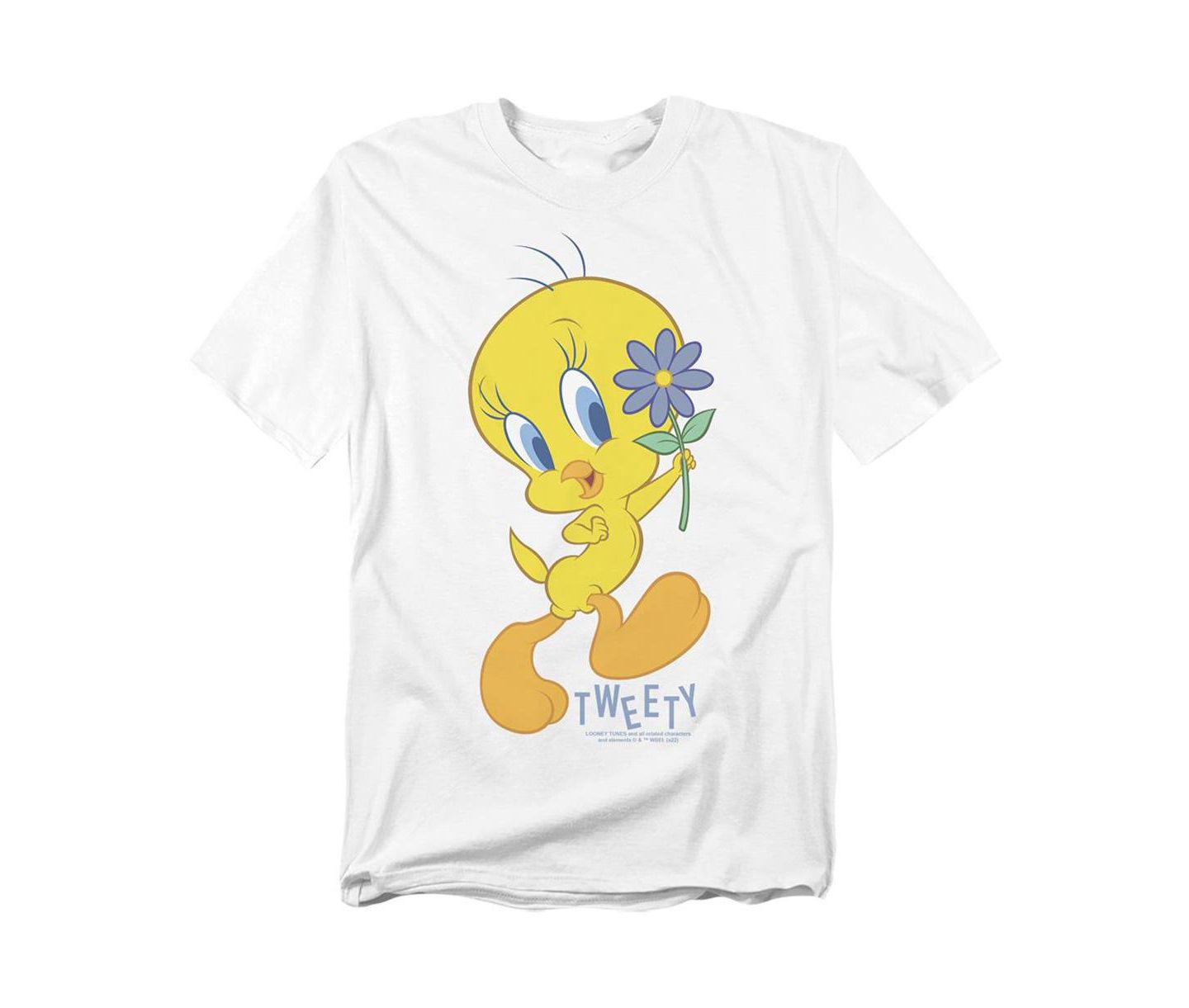 Мужская футболка Looney Tunes Tweety Flower, цвет: Белый — фото 1