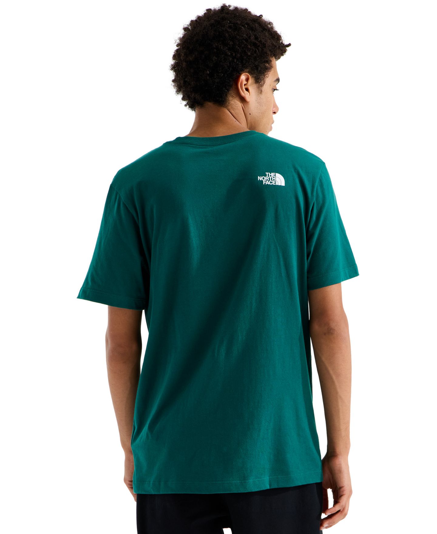 Мужская футболка The North Face Evolution Logo Never Stop Exploring®, цвет: Бирюзовый — фото 3