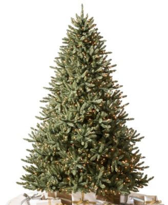 Classic Blue Spruce 6.5 LEDC
