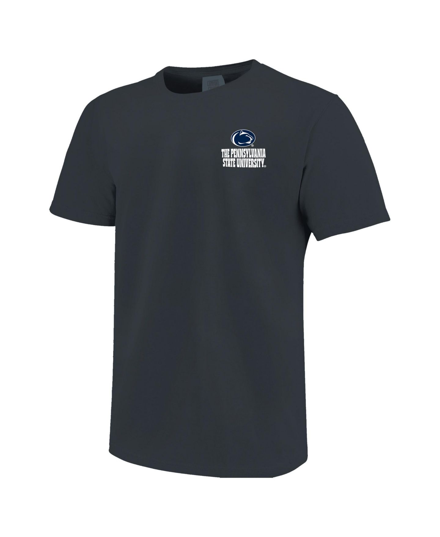 Мужская футболка Image One Penn State Nittany Lions Landscape Graphic — фото 3