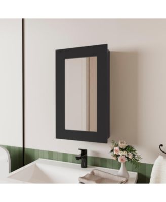Parks medicine cabinet with mirror