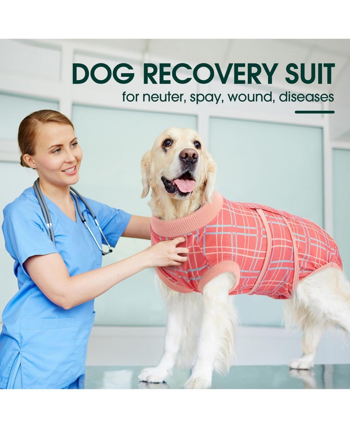 High-Elastic Post-Surgery Recovery Onesie for Dogs and Cats