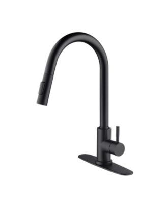Kitchen Faucet with Pull Out Sprayer Single Handle Stainless Steel