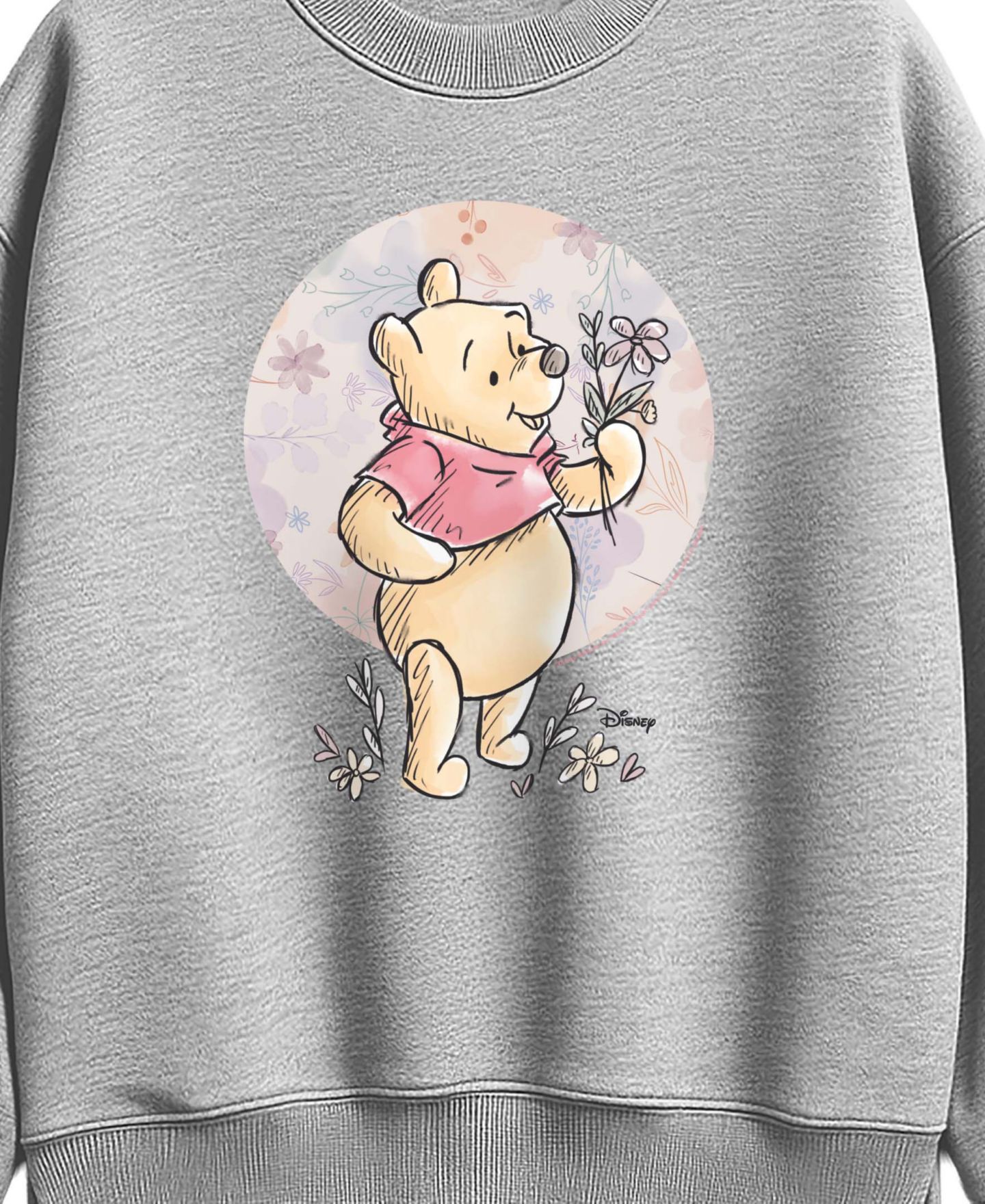 Женские толстовки Hybrid Apparel Plus Size Disney Graphic Crewneck, цвет: Меланжевый — фото 3