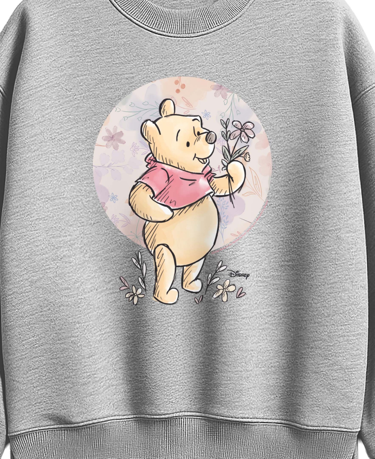 Hybrid Apparel Plus Disney Graphic Crewneck Sweatshirt