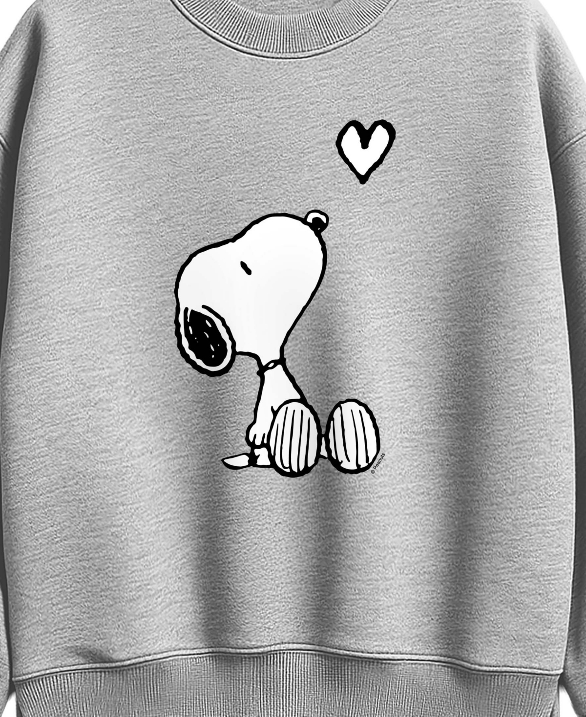 Hybrid Apparel Plus Snoopy Oversized Graphic Long-Sleeve Sweatshirt