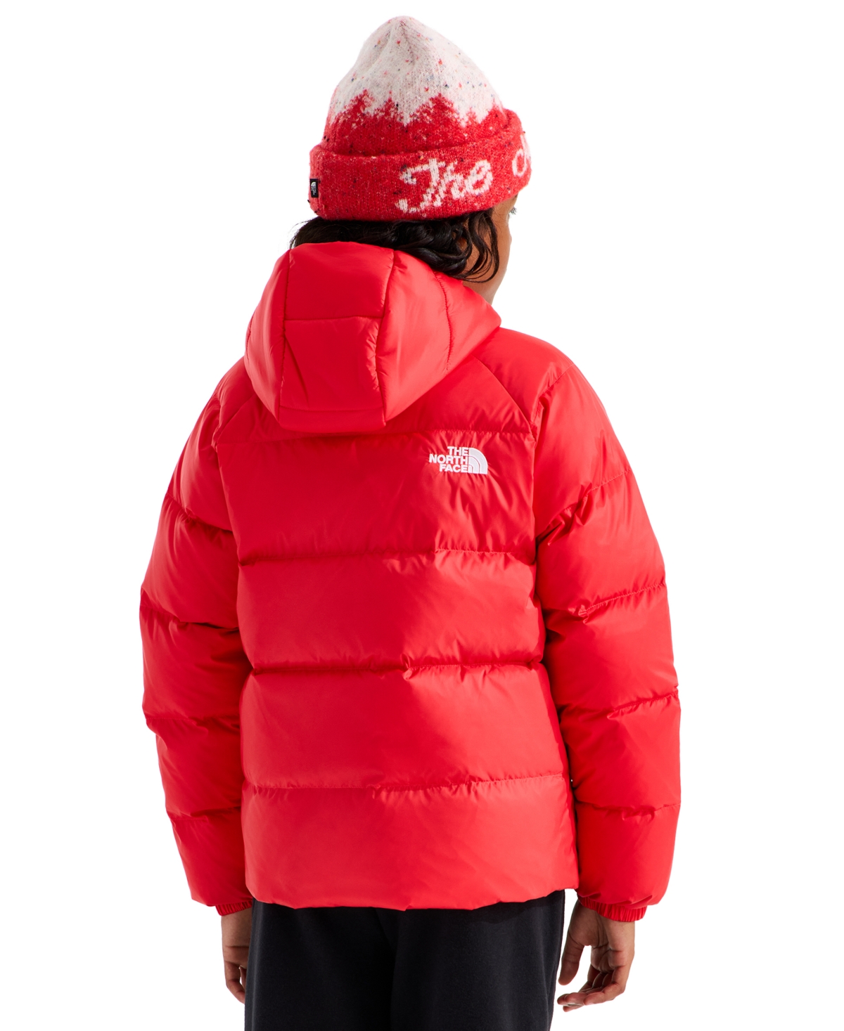 The North Face Boys' 8-20 Hydrenalite Hooded Down Puffer Jacket