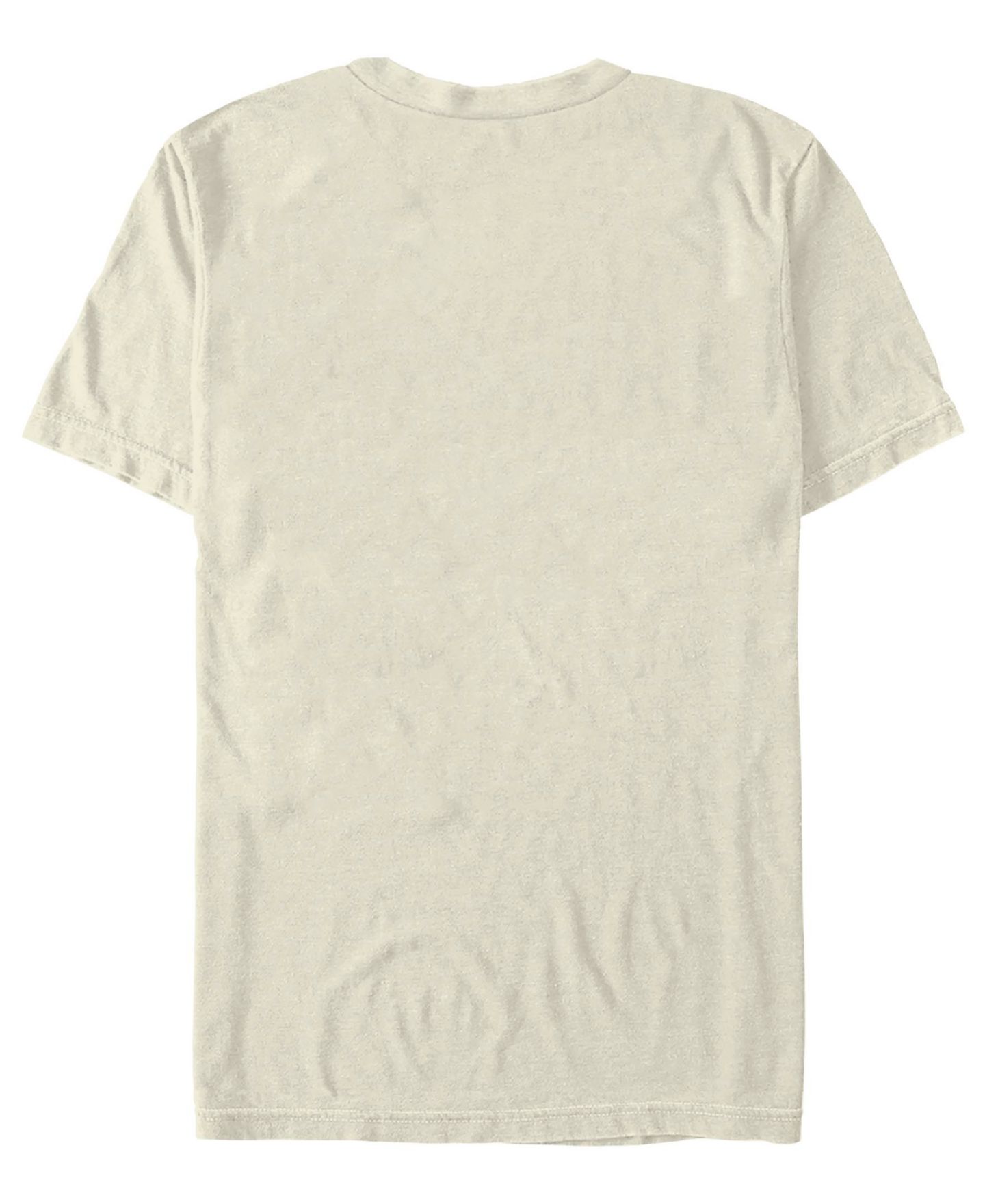 Мужская футболка Fifth Sun Everglades Alt Graphic Crew Neck, цвет: Слоновая кость — фото 3