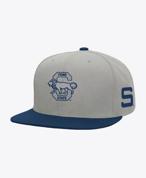 Мужская кепка Mitchell & Ness Gray/Navy Penn State Nittany Lions Plaid OG Snapback Hat