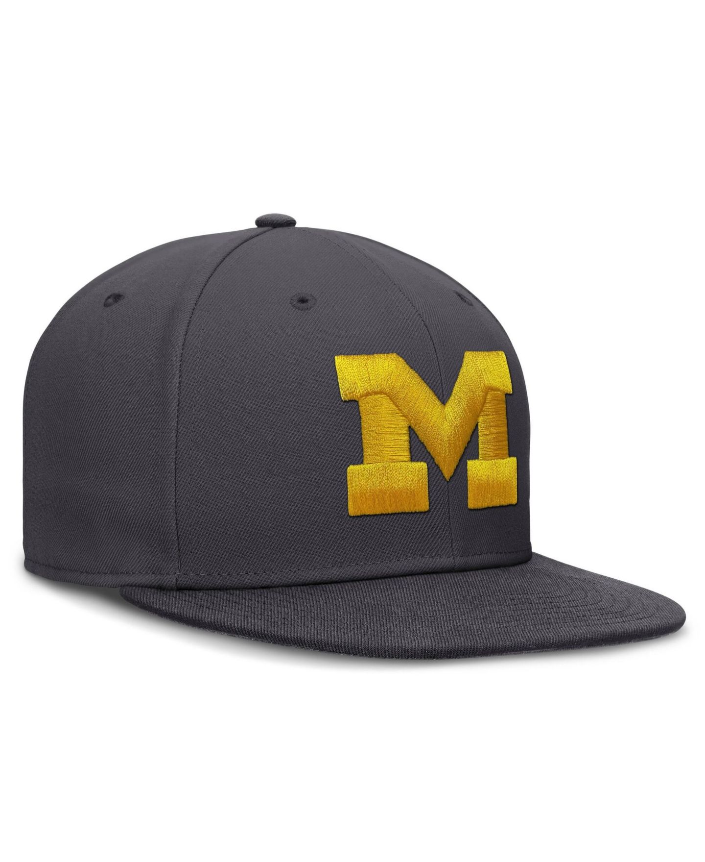 Мужская кепка Jordan Nike Anthracite Michigan Wolverines Pro Dri-FIT Fitted Hat — фото 6