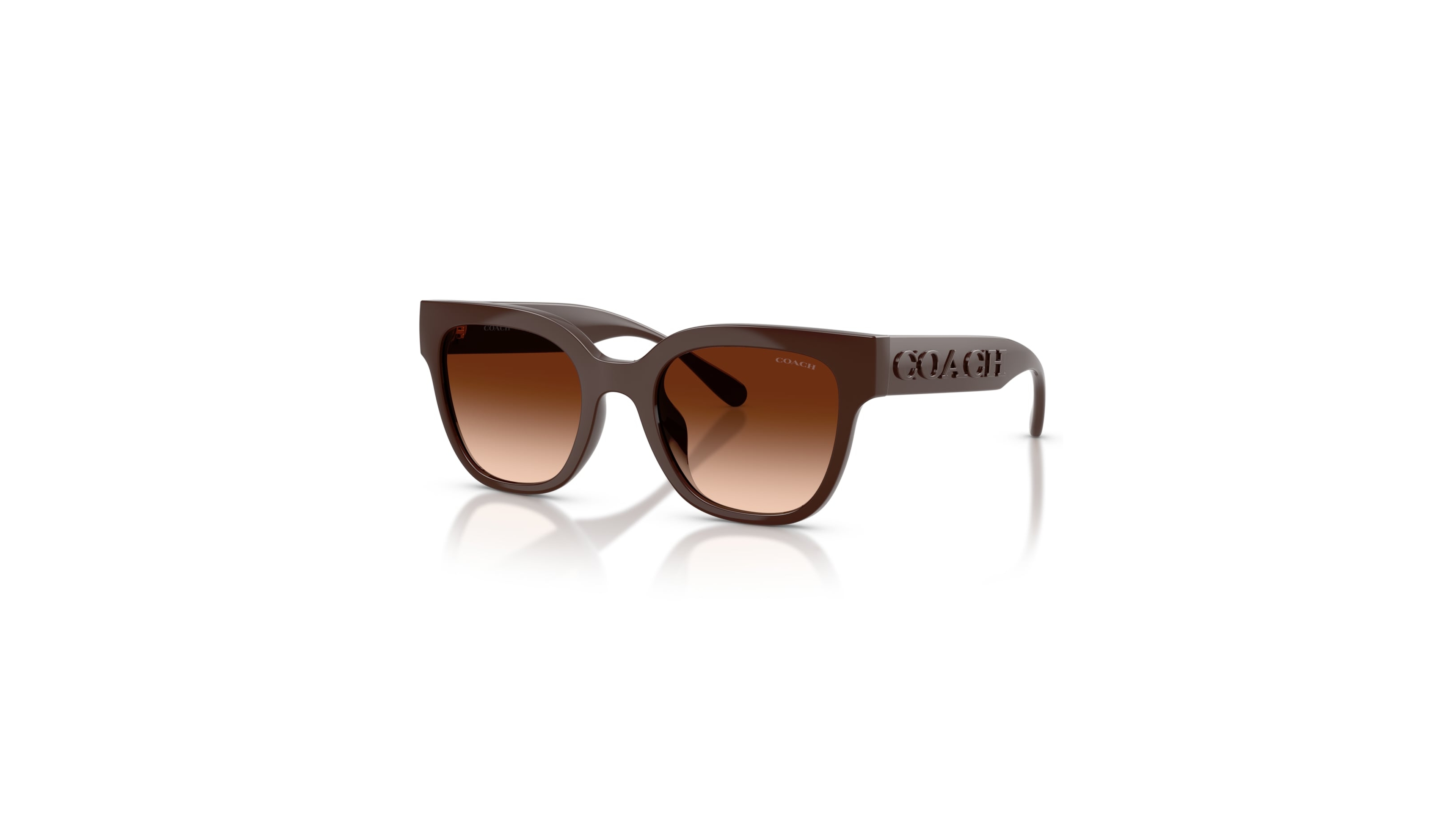 Coach Women's Square Oversized Sunglasses HC8460U