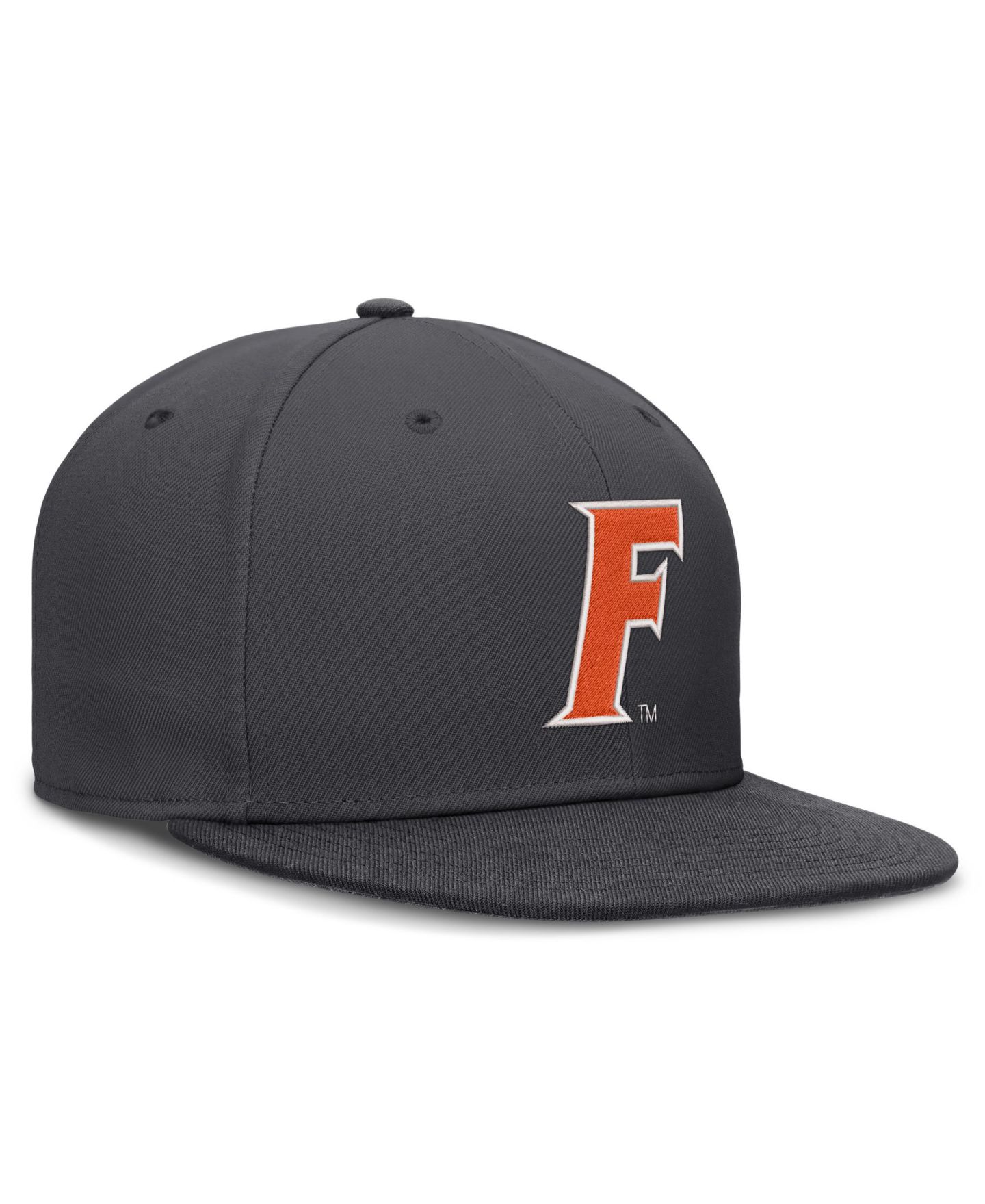 Мужская бейсболка Nike Florida Gators Pro Dri-FIT, Anthracite — фото 3