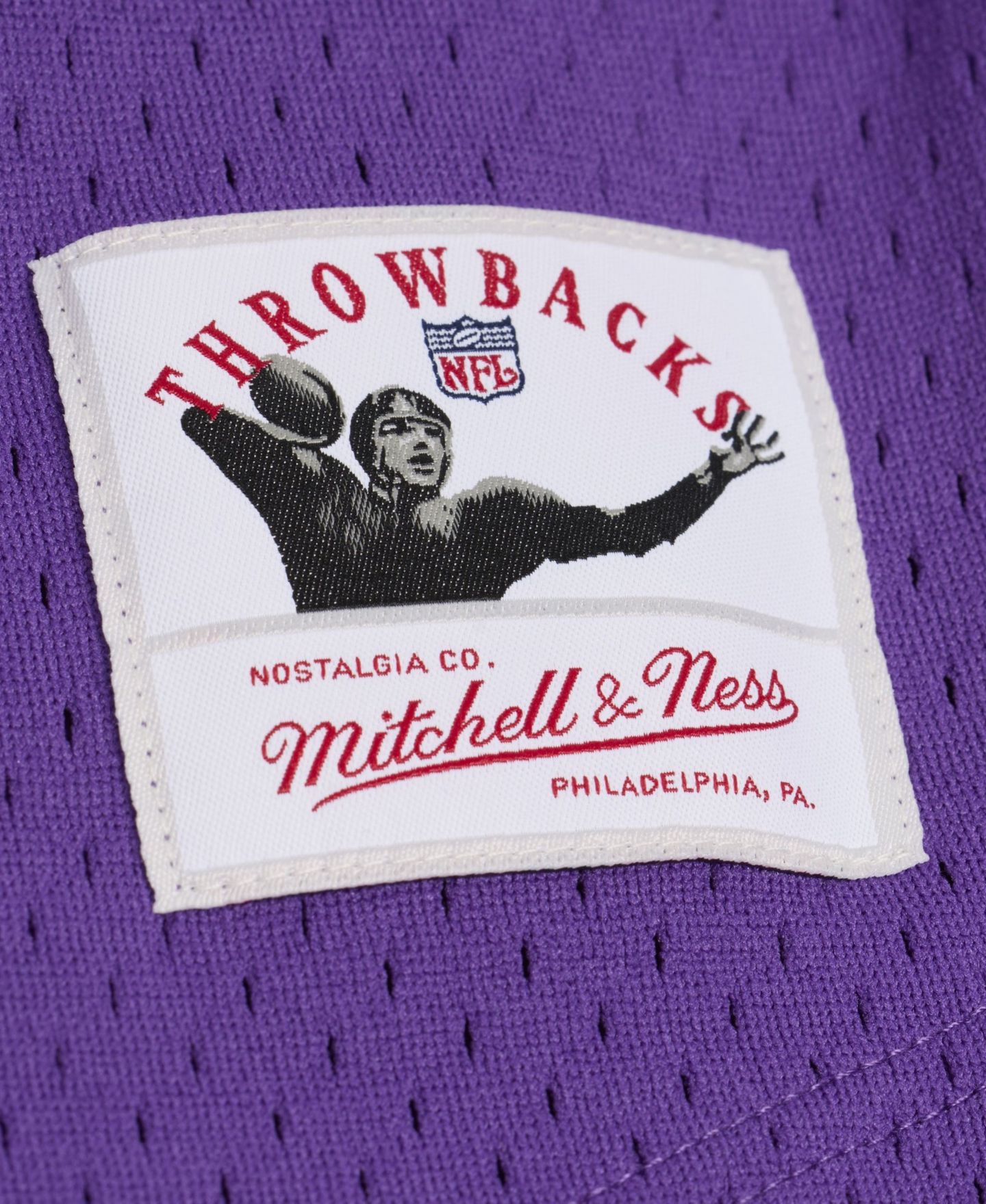 Мужская футболка Mitchell & Ness Randy Moss Purple Minnesota Vikings Retired Player Name Number Mesh — фото 4