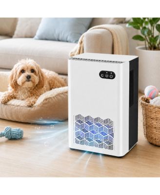 Dehumidifier for Pet Areas, 1000 Sq. Ft., 95-Oz Tank, 7-Color LED
