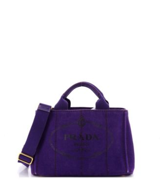 Mini Canapa Convertible Tote Canvas