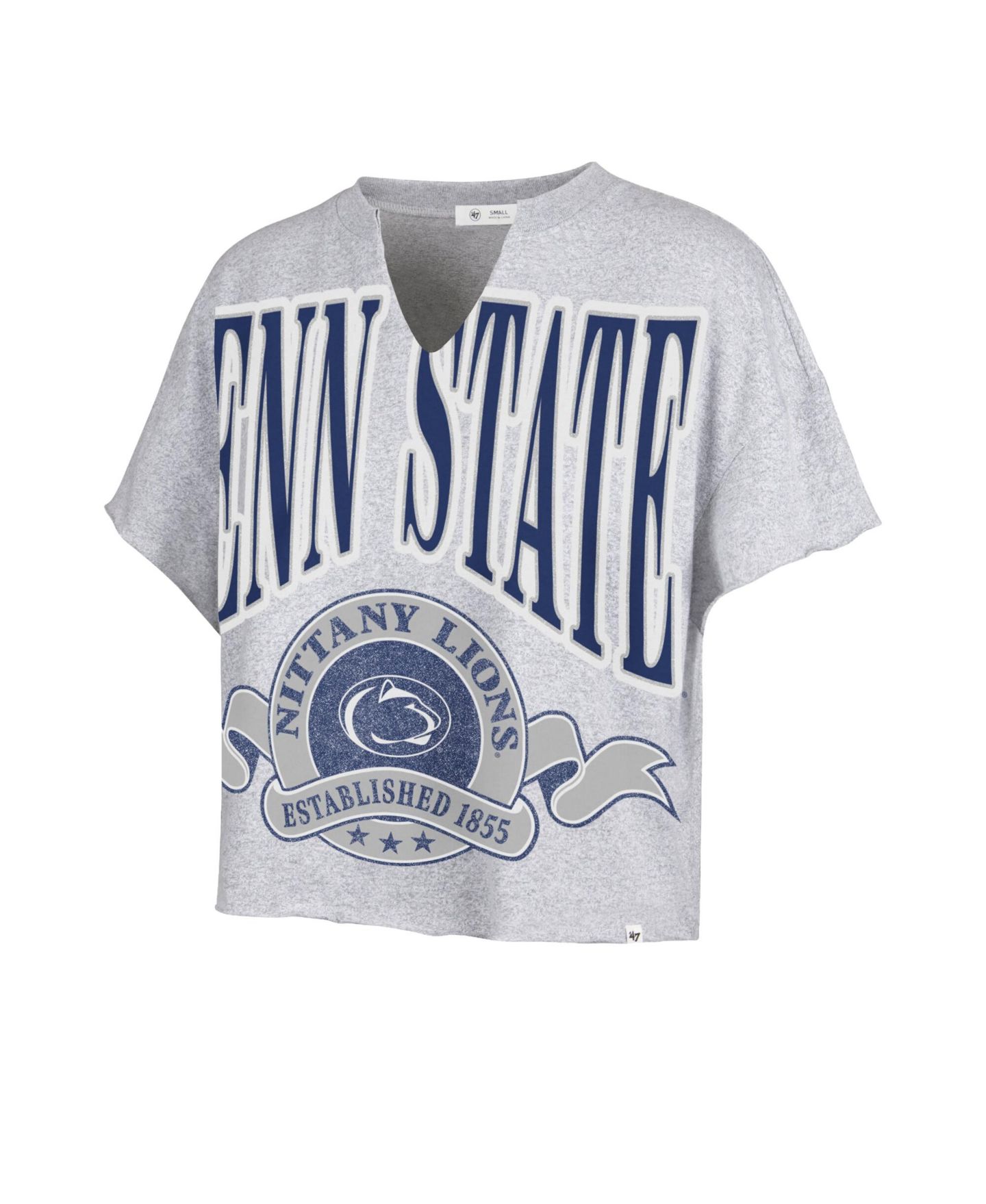 Женская футболка '47 Brand Gray Penn State Nittany Lions Banners Out Oversized Notch-Neck — фото 3
