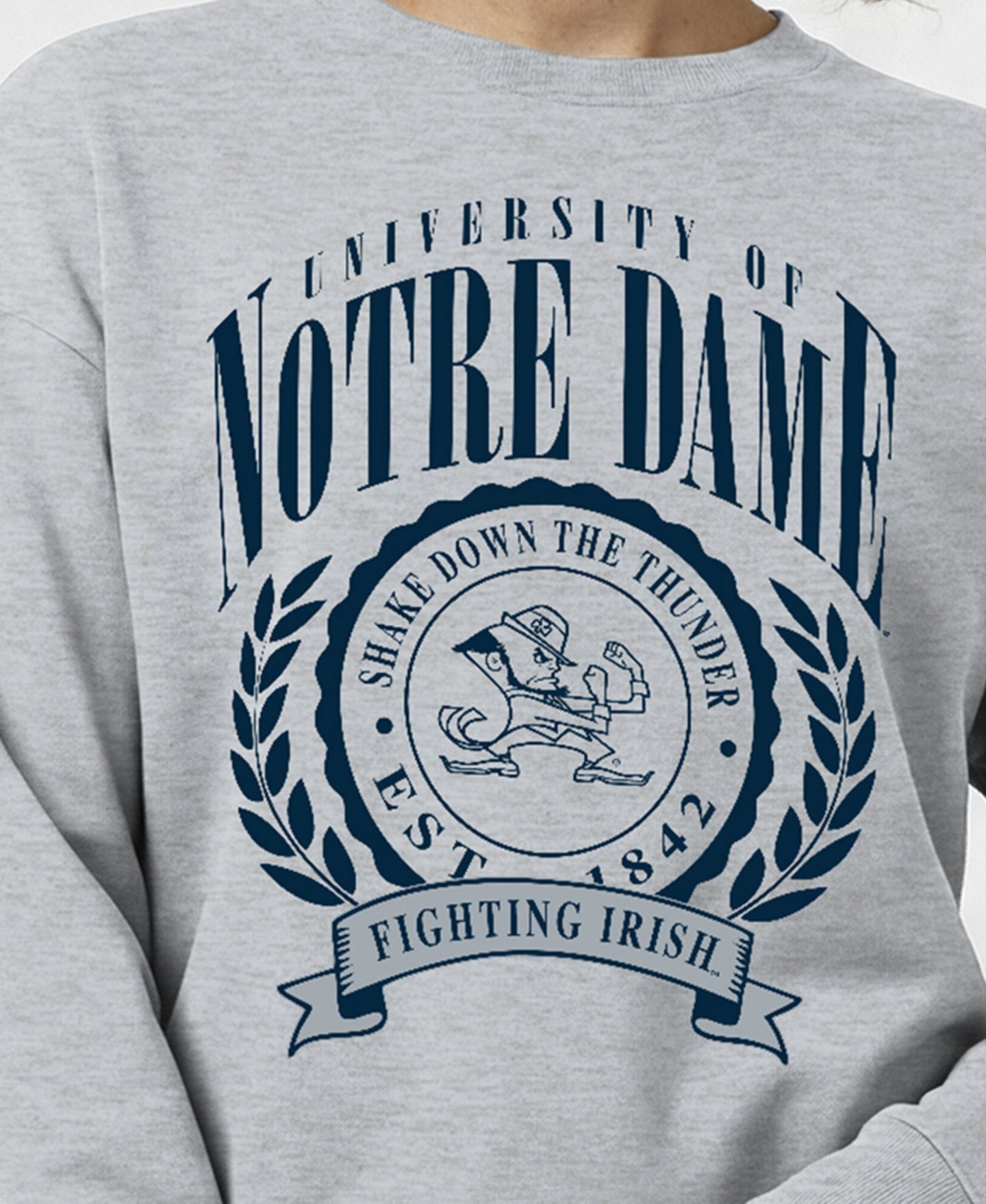 Женская толстовка Champion Heather Gray Notre Dame Fighting Irish Academic Crest Powerblend Crewneck — фото 2