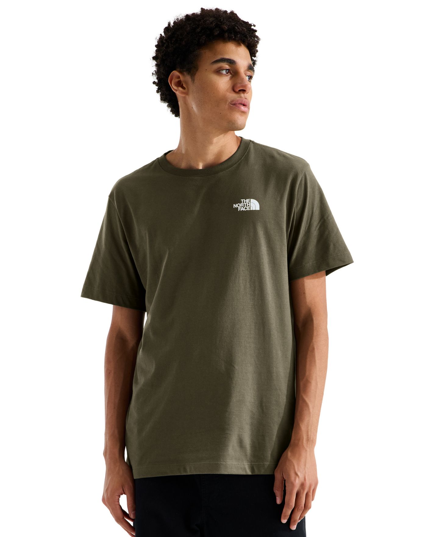 Мужская футболка The North Face Evolution Box NSE Graphic Crewneck, цвет: Серо-коричневый зелёный — фото 2