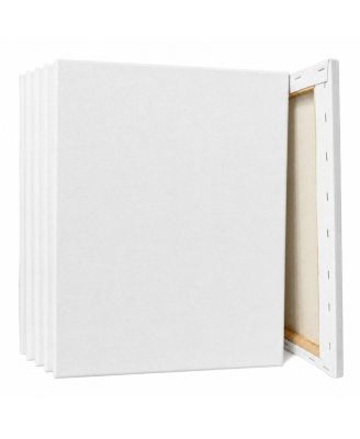 Stretched Blank Cotton Art Canvas 6 Pack Value Pack For Painting Crafts