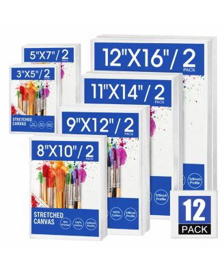 Stretched Painting Canvas Multi Pack Pre-Primed for Artists Beginners