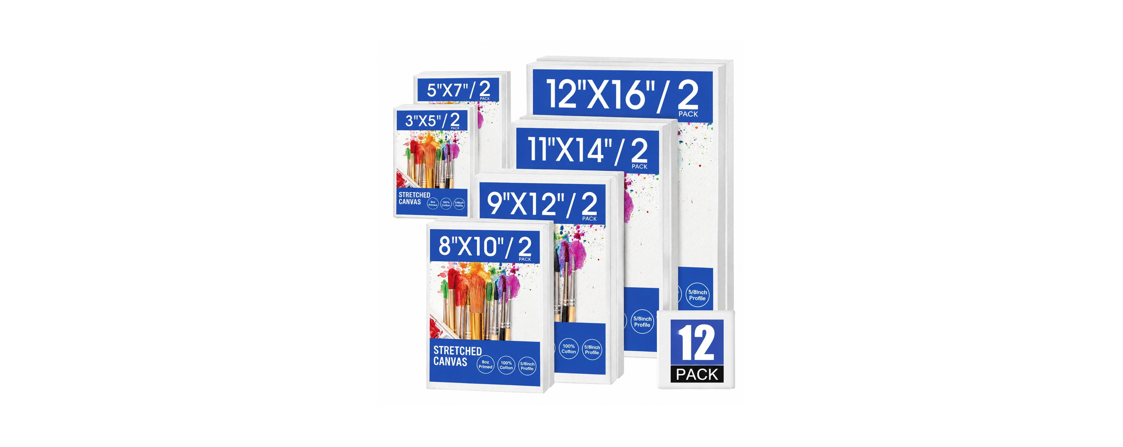 Lowking Stretched Painting Canvas Multi Pack Pre-Primed for Artists Beginners